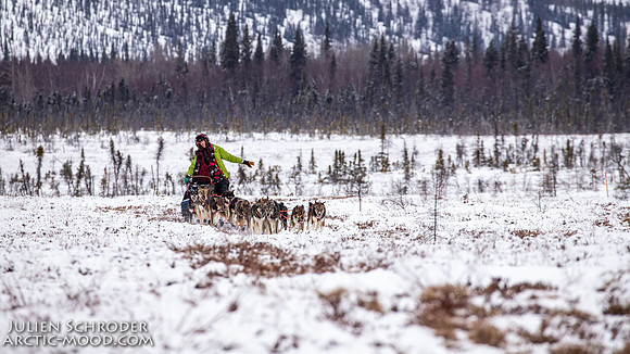 untitled-Iditarod2019-JSchroder_20190307IMG_4485