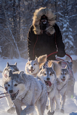 2_Two Rivers_YukonQuest2018_untitled_YukonQuest2018_13564_JSchroder-2