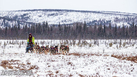 untitled-Iditarod2019-JSchroder_20190307IMG_4509
