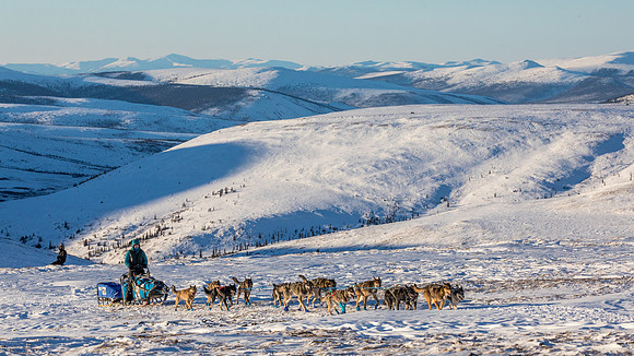 3_Mile101_YukonQuest2018_Eagle_summit_YukonQuest2018_14068_JSchroder-2