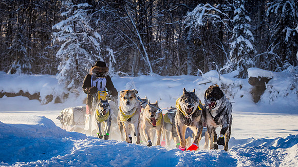 2_Two Rivers_YukonQuest2018_untitled_YukonQuest2018_13483_JSchroder-2