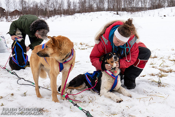 iditarod-Iditarod2019-JSchroder_20190309IMG_4631