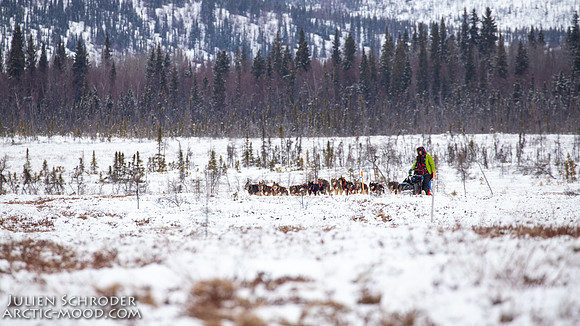 untitled-Iditarod2019-JSchroder_20190307IMG_4461