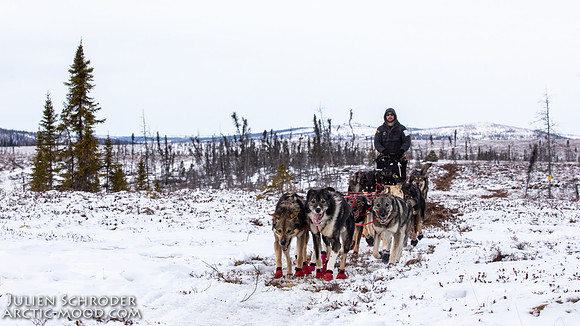 iditarod-Iditarod2019-JSchroder_20190307_D4_5911