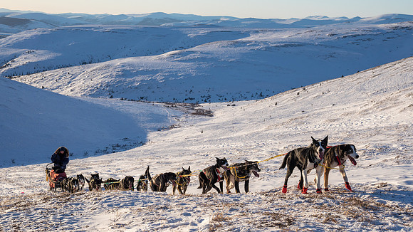 3_Mile101_YukonQuest2018_Eagle_summit_YukonQuest2018_14440_JSchroder-2