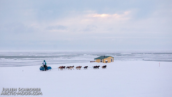 CapeNome-Iditarod2019-JSchroder_20190315_D4_9139