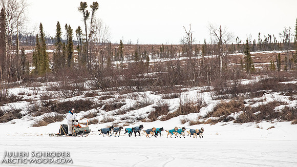 untitled-Iditarod2019-JSchroder_20190309_D4_6115