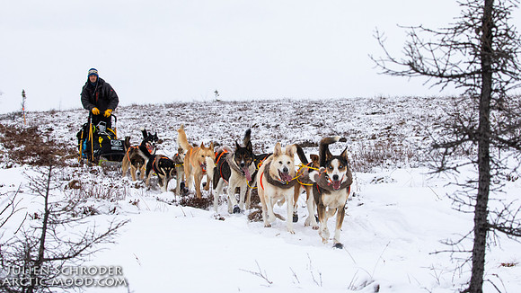 untitled-Iditarod2019-JSchroder_20190307_D4_5686