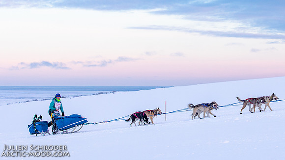 CapeNome-Iditarod2019-JSchroder_20190315_D4_9058