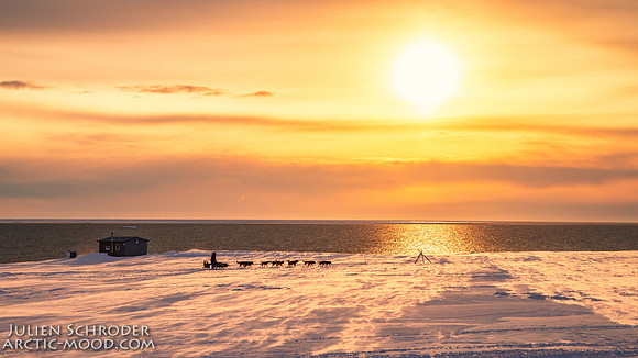 Nome-Iditarod2019-JSchroder_20190313IMG_4982-Edit
