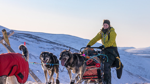 3_Mile101_YukonQuest2018_Eagle_summit_YukonQuest2018_14342_JSchroder-2