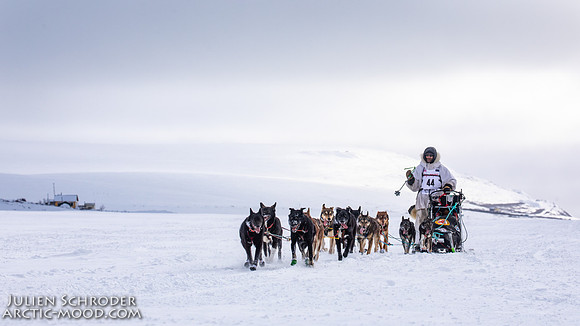 CapeNome-Iditarod2019-JSchroder_20190315_D4_8536