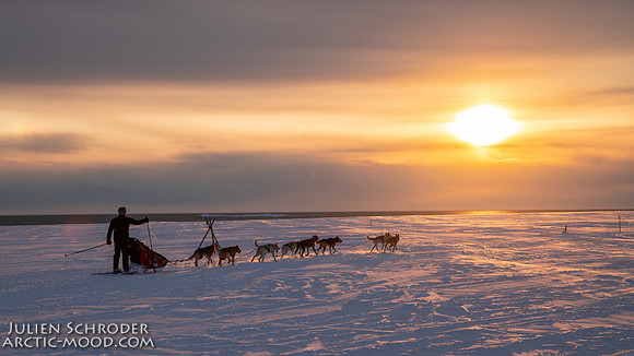Nome-Iditarod2019-JSchroder_20190313IMG_5003