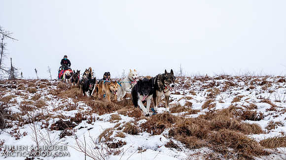 Iditarod-Iditarod2019-JSchroder_20190308_D4_5948