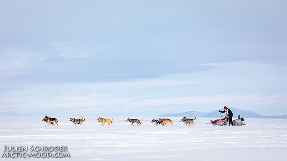 Nome-Iditarod2019-JSchroder_20190313_D4_7303