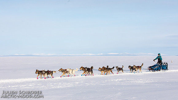 Nome-Iditarod2019-JSchroder_20190313_D4_7707