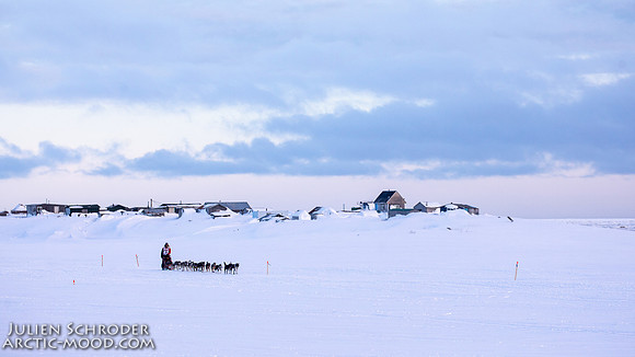 CapeNome-Iditarod2019-JSchroder_20190315_D4_8998