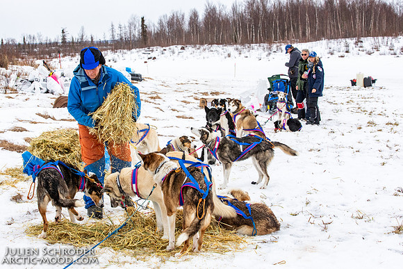 iditarod-Iditarod2019-JSchroder_20190309_D4_6573