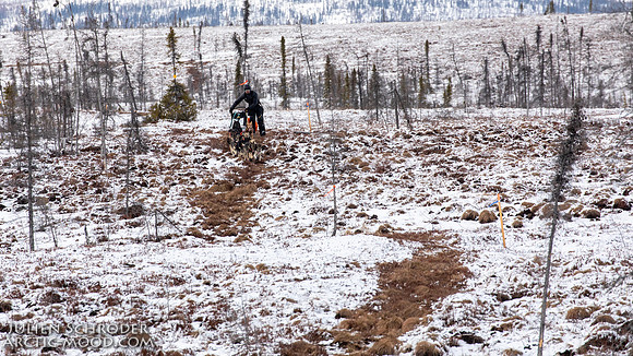 iditarod-Iditarod2019-JSchroder_20190307_D4_5863