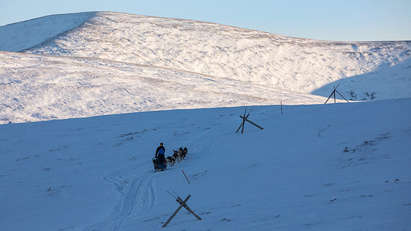 3_Mile101_YukonQuest2018_Eagle_summit_YukonQuest2018_14155_JSchroder-2