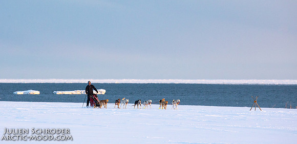 Nome-Iditarod2019-JSchroder_20190313_D4_7992
