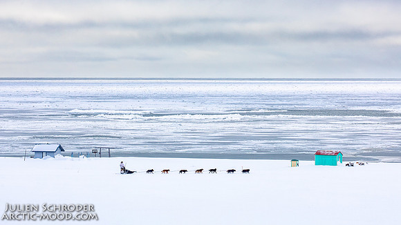 CapeNome-Iditarod2019-JSchroder_20190315_D4_8490