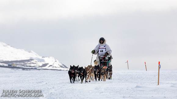 CapeNome-Iditarod2019-JSchroder_20190315_D4_8525