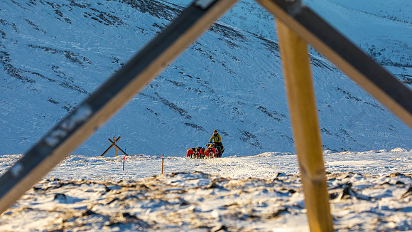 3_Mile101_YukonQuest2018_Eagle_summit_YukonQuest2018_14329_JSchroder-2