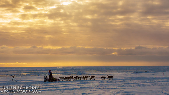 CapeNome-Iditarod2019-JSchroder_20190315_D4_8871-Edit-2-Edit