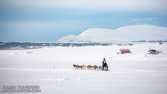Nome-Iditarod2019-JSchroder_20190313_D4_7454