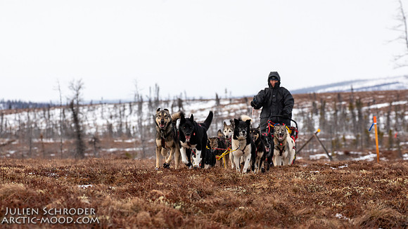 Iditarod-Iditarod2019-JSchroder_20190308_D4_6053