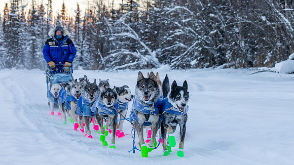 2_Two Rivers_YukonQuest2018_untitled_YukonQuest2018_13712_JSchroder-2