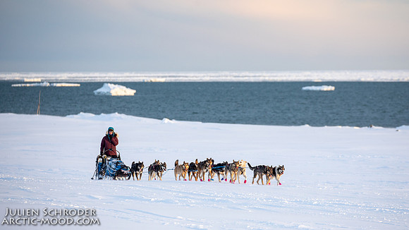 Nome-Iditarod2019-JSchroder_20190313_D4_7923