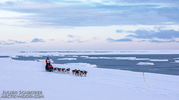 CapeNome-Iditarod2019-JSchroder_20190315_D4_9022