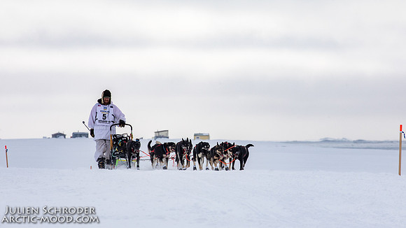CapeNome-Iditarod2019-JSchroder_20190315_D4_8583