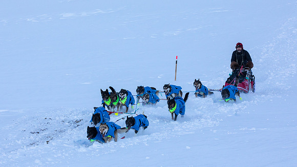3_Mile101_YukonQuest2018_Eagle_summit_YukonQuest2018_14182_JSchroder-2