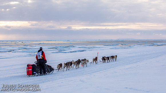 CapeNome-Iditarod2019-JSchroder_20190315_D4_9032