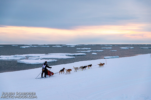 Nome-Iditarod2019-JSchroder_20190313IMG_5036