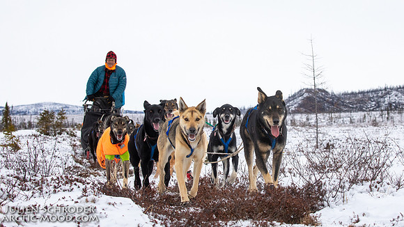 iditarod-Iditarod2019-JSchroder_20190307_D4_5760