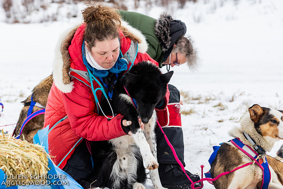 iditarod-Iditarod2019-JSchroder_20190309_D4_6543