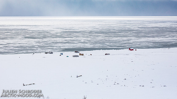 CapeNome-Iditarod2019-JSchroder_20190315_D4_8468