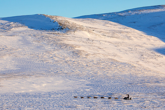 3_Mile101_YukonQuest2018_Eagle_summit_YukonQuest2018_14527_JSchroder-2