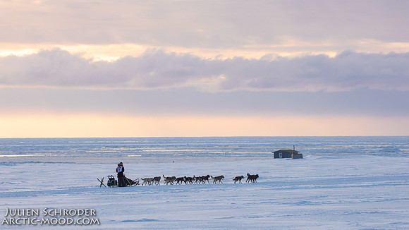 CapeNome-Iditarod2019-JSchroder_20190315_D4_8902