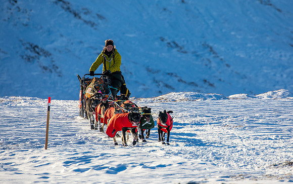 3_Mile101_YukonQuest2018_Eagle_summit_YukonQuest2018_14331_JSchroder-2