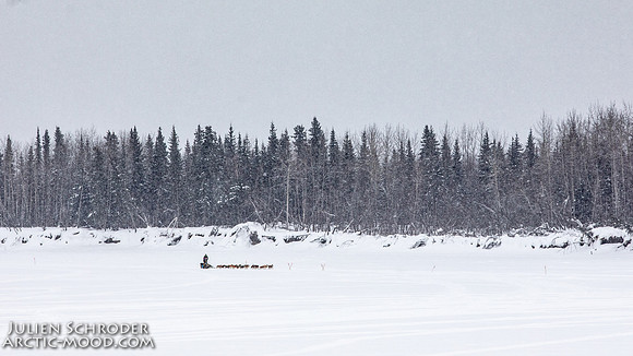 Rohn-Iditarod2019-JSchroder_20190305_D4_5000