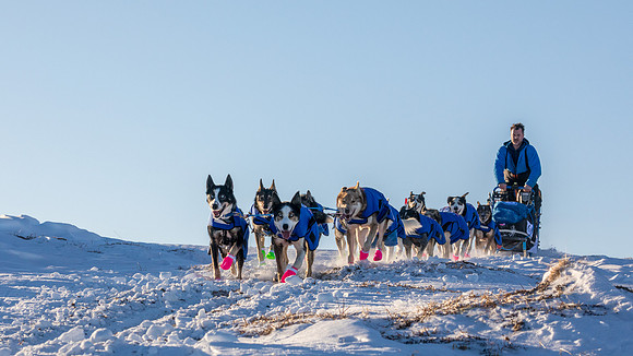 3_Mile101_YukonQuest2018_Eagle_summit_YukonQuest2018_14232_JSchroder-2