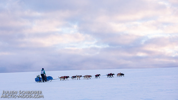 CapeNome-Iditarod2019-JSchroder_20190315_D4_9069