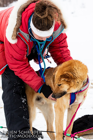 iditarod-Iditarod2019-JSchroder_20190309_D4_6513