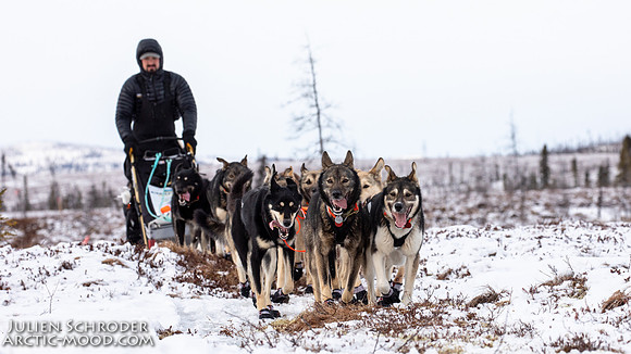 iditarod-Iditarod2019-JSchroder_20190307_D4_5891