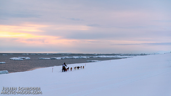 Nome-Iditarod2019-JSchroder_20190313IMG_5045